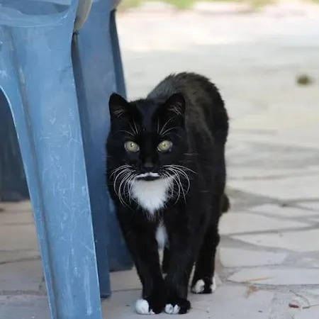 Independant A Апартаменты *